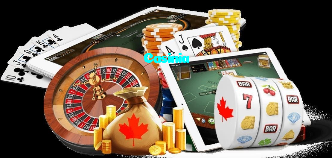 Casinia